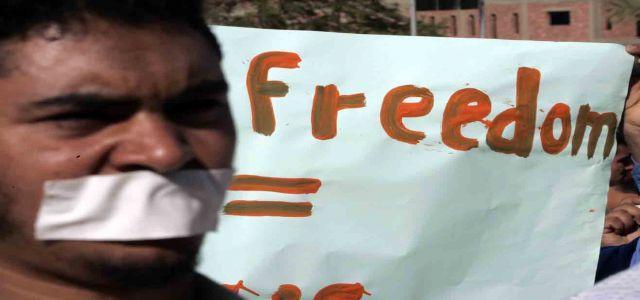 Alexandria Uni. Professors, Freedoms Committee Stage Demo