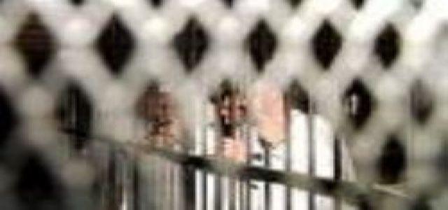 Rearresting Five MBs after Release Warrants