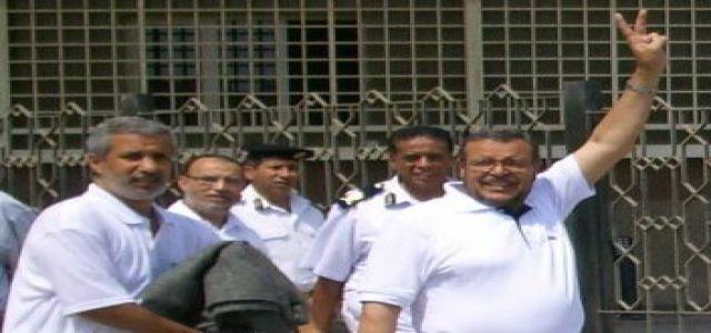 Free Essam El Erian