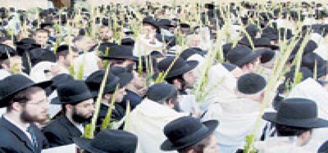 Are Israeli courts staffed by Nazi judges?