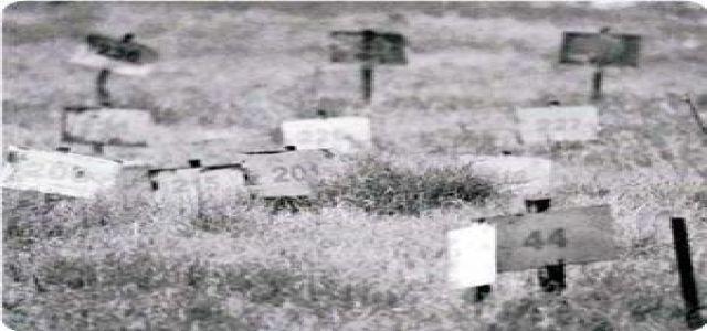 Jewish extremists assault Palestinian graveyard