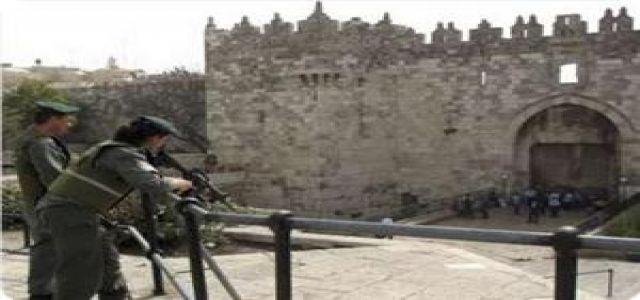 IOF kidnaps 11 Palestinians, Israeli gov’t plans expansion of settlements