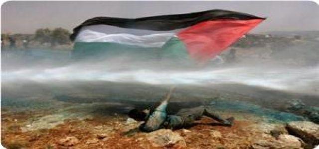 Democracy in Palestine