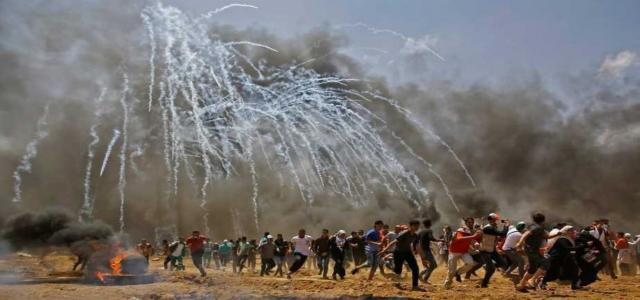 Muslim Brotherhood’s Statement on Gaza Massacre