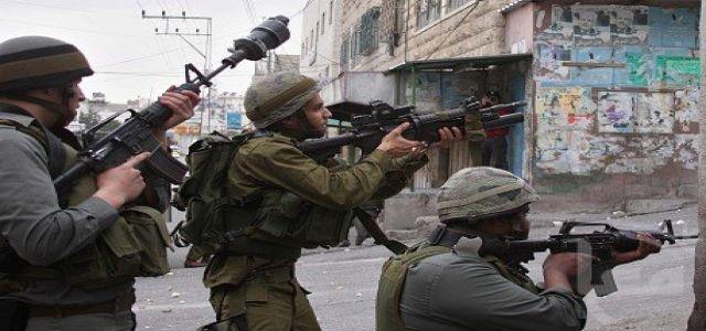 OCHA: IOF soldiers kill one citizen in Gaza Strip, wound 14 in West Bank