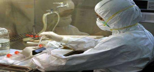 Egypt: Bird flu may be down but not out