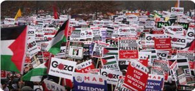 Demonstrations at Egyptian embassy, as European MPs dismayed at Egyptian procrastination