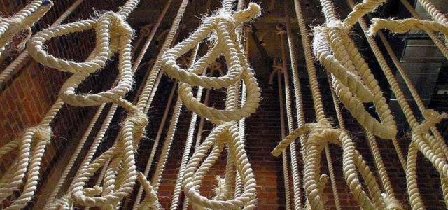 Muslim Brotherhood’s Statement on the Unjust Death Sentences Against 75 Political Prisoners of Its Members
